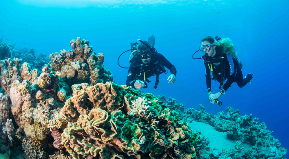Scuba diving… sport extrem, terapie si team building