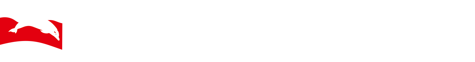 Cursuri Scuba în București - BDOds Diving School